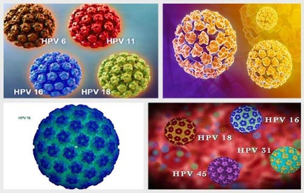 Các tuýp virus HPV gây bệnh