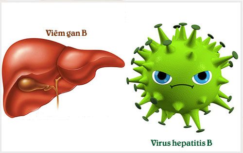 virus viêm gan b