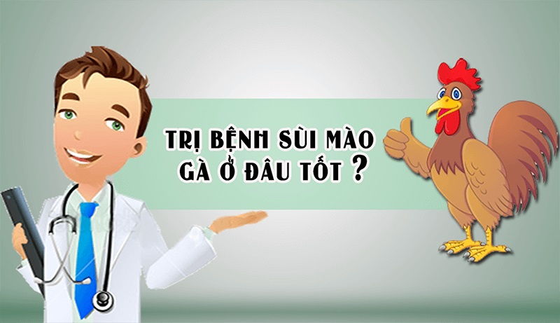 Truy tìm địa chỉ trị bệnh sùi mào gà uy tín