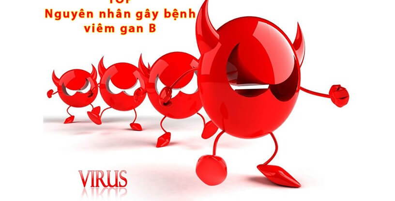 Virus – nguyên nhân gây ra bệnh viêm gan B