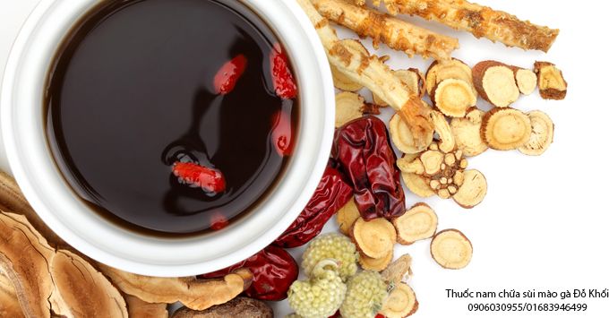 Thuốc đông y điều trị bệnh sùi mào gà