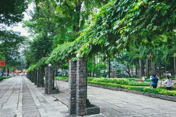 Top 4 Công Viên Là Lá Phổi Xanh Giữa Thành Phố Hồ Chí Minh 1